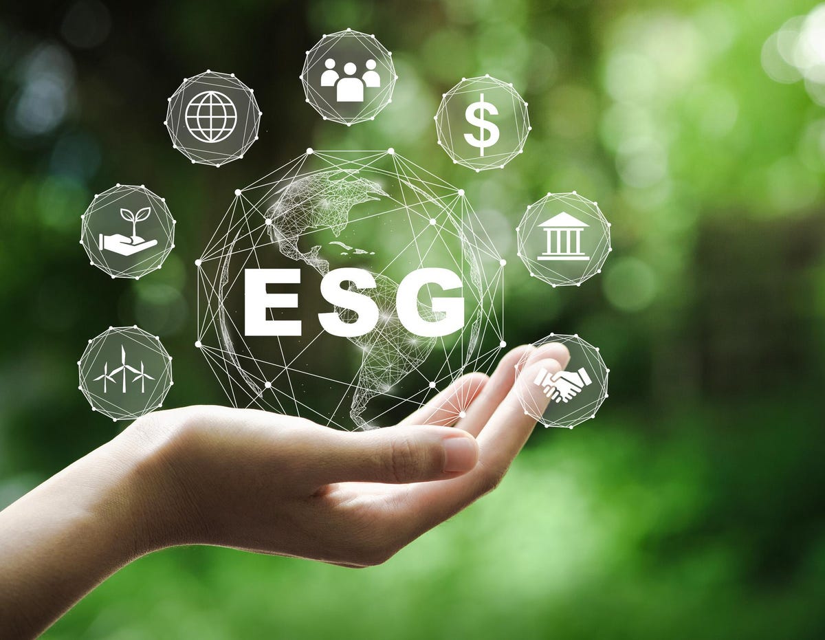 ESG Report Writing Tom Rigby